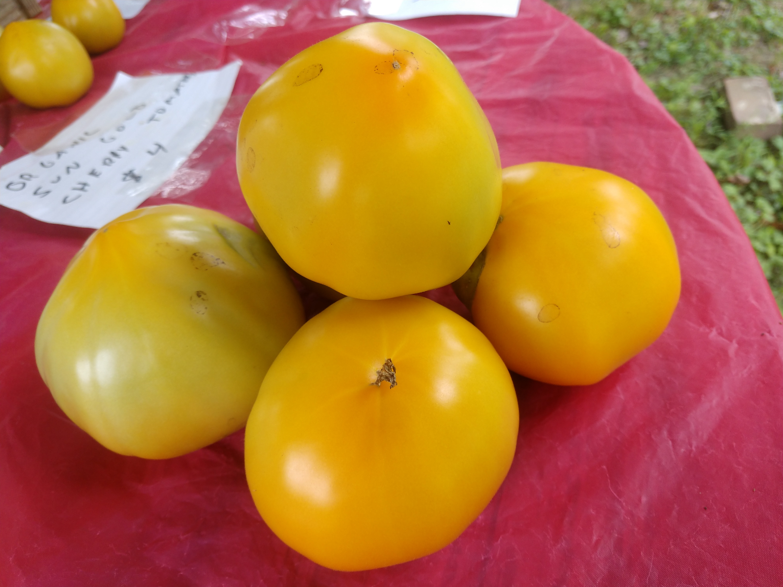 1-yellow-jubilee-tomato-certified-organic